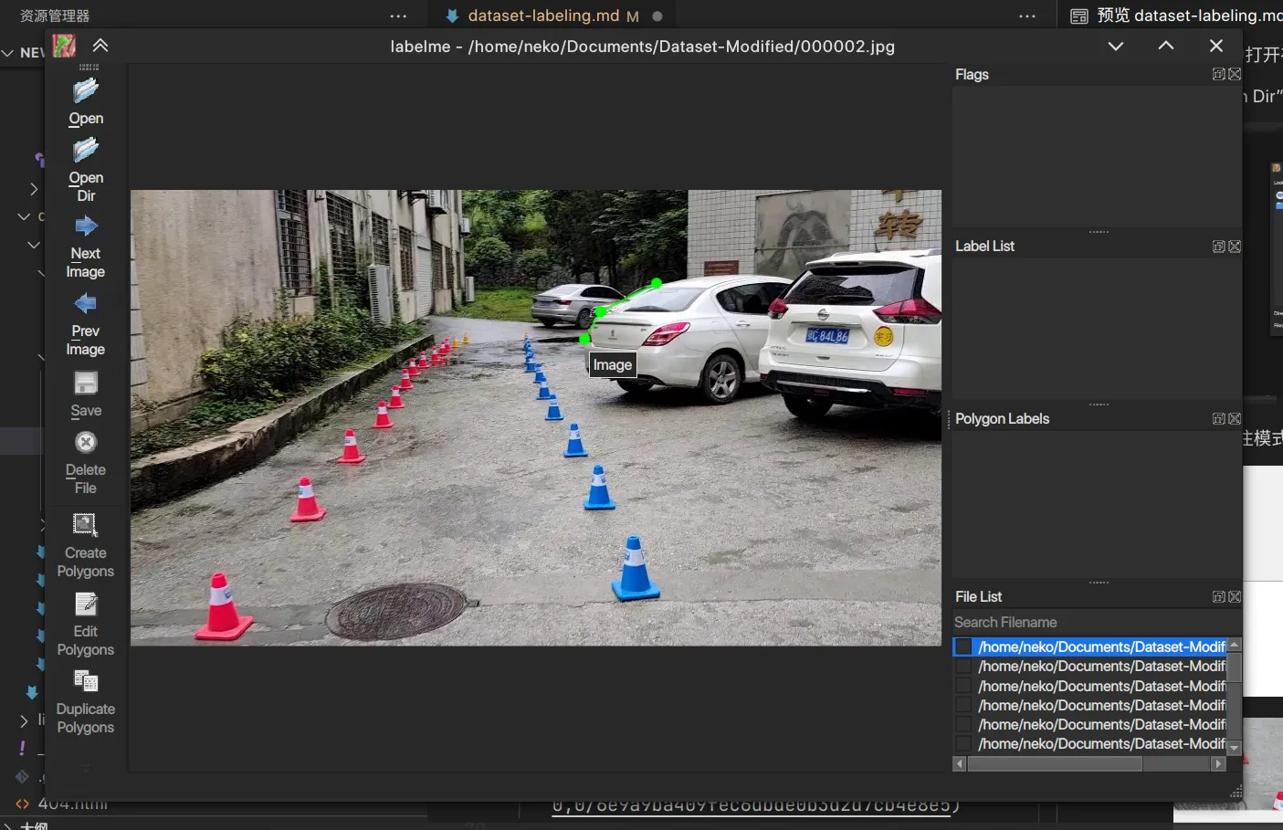 Labelme 标注示例1